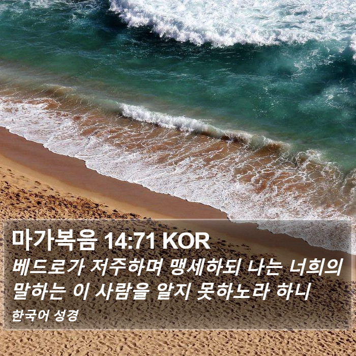 마가복음 14:71 KOR Bible Study