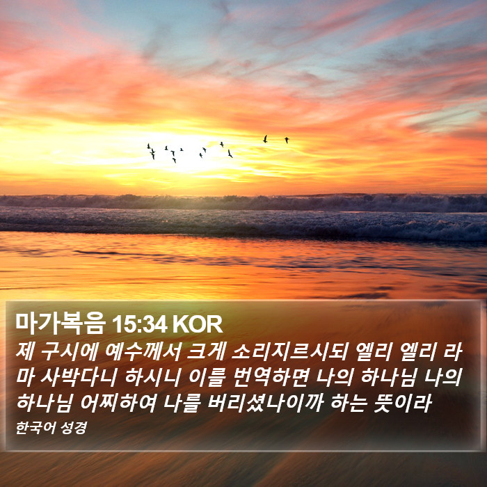 마가복음 15:34 KOR Bible Study
