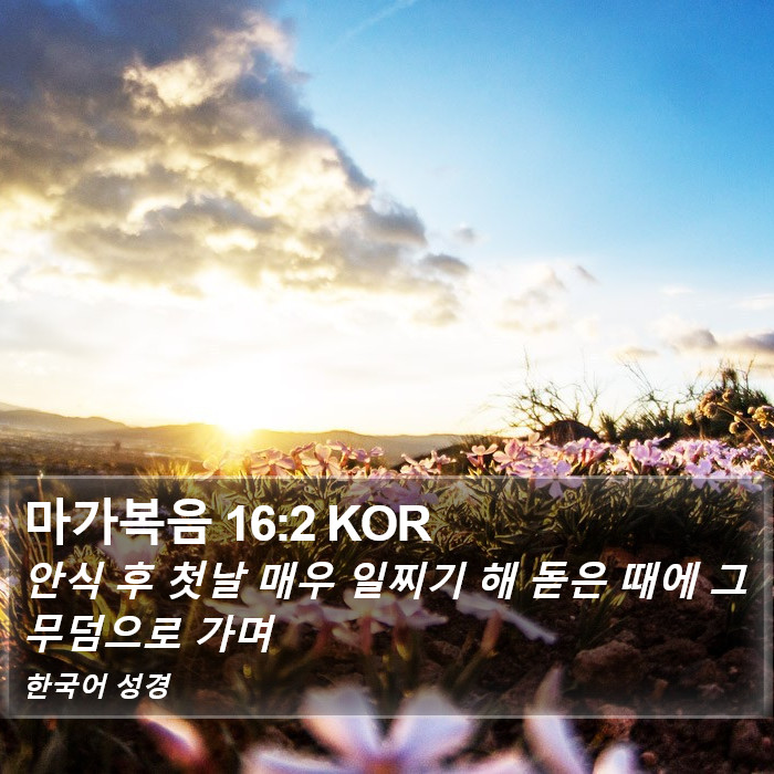 마가복음 16:2 KOR Bible Study