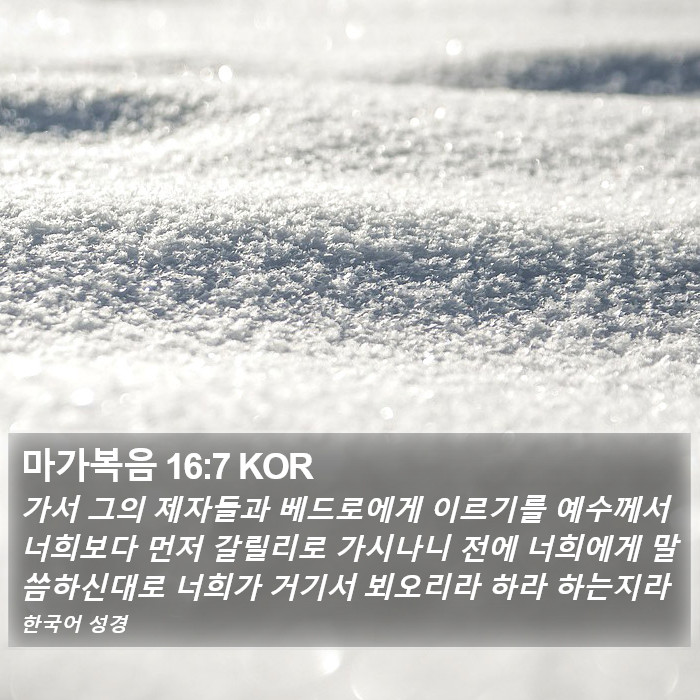 마가복음 16:7 KOR Bible Study