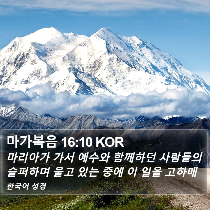 마가복음 16:10 KOR Bible Study