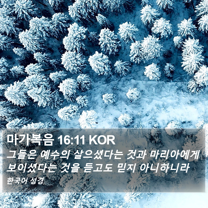 마가복음 16:11 KOR Bible Study