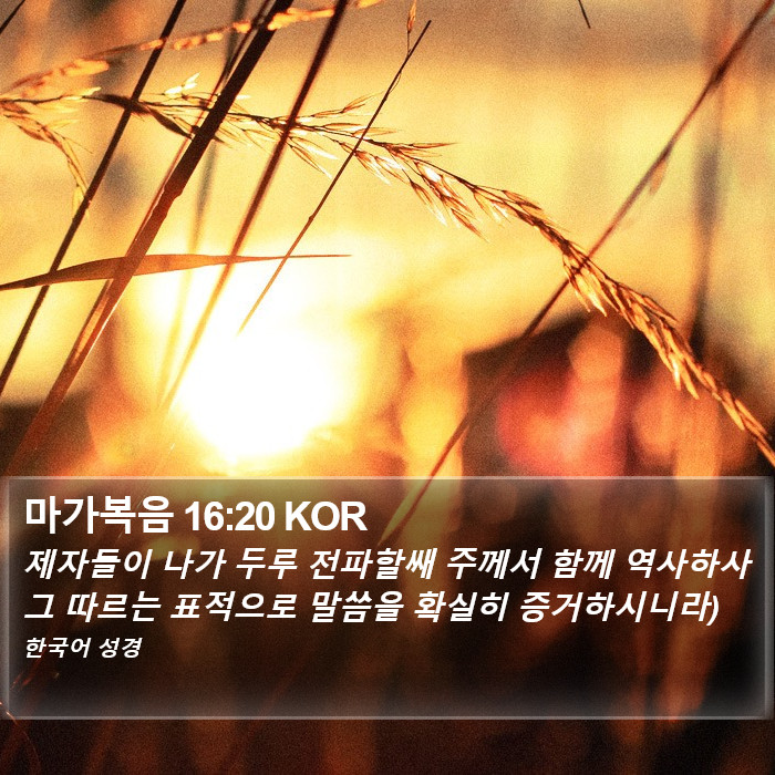 마가복음 16:20 KOR Bible Study