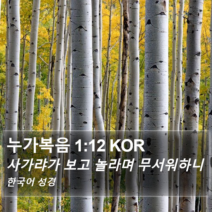 누가복음 1:12 KOR Bible Study