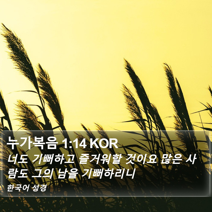 누가복음 1:14 KOR Bible Study