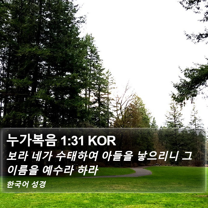 누가복음 1:31 KOR Bible Study