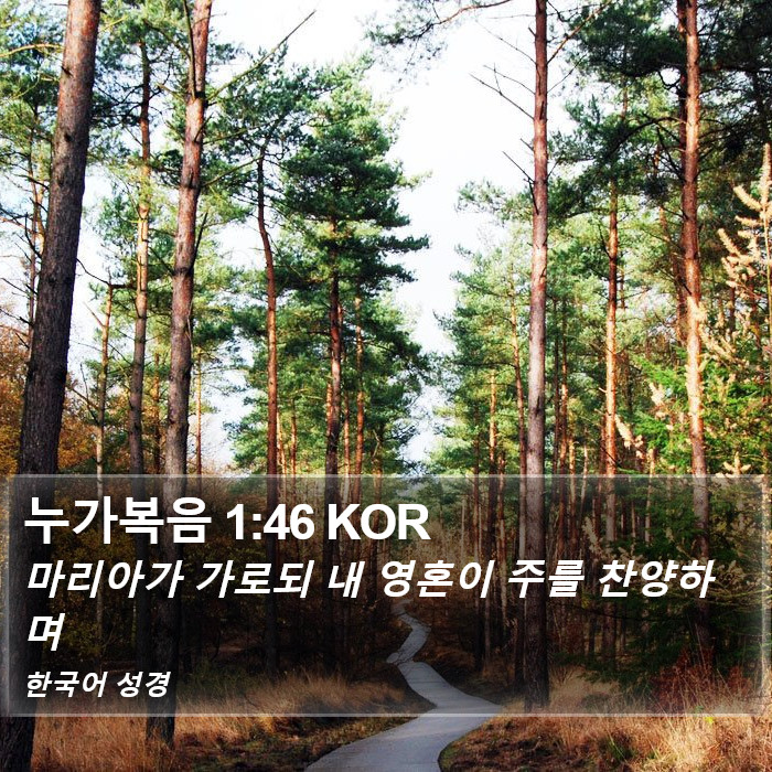 누가복음 1:46 KOR Bible Study