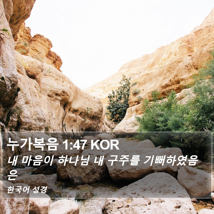 누가복음 1:47 KOR Bible Study