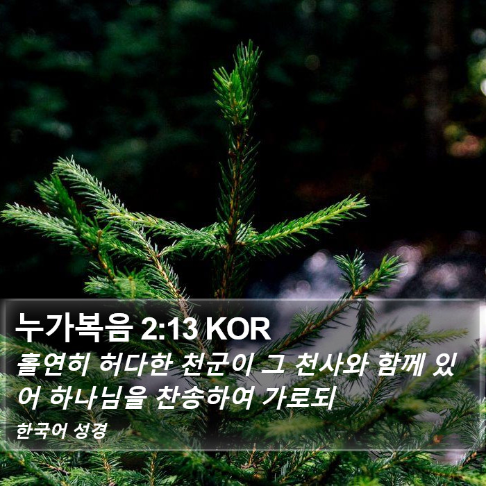 누가복음 2:13 KOR Bible Study