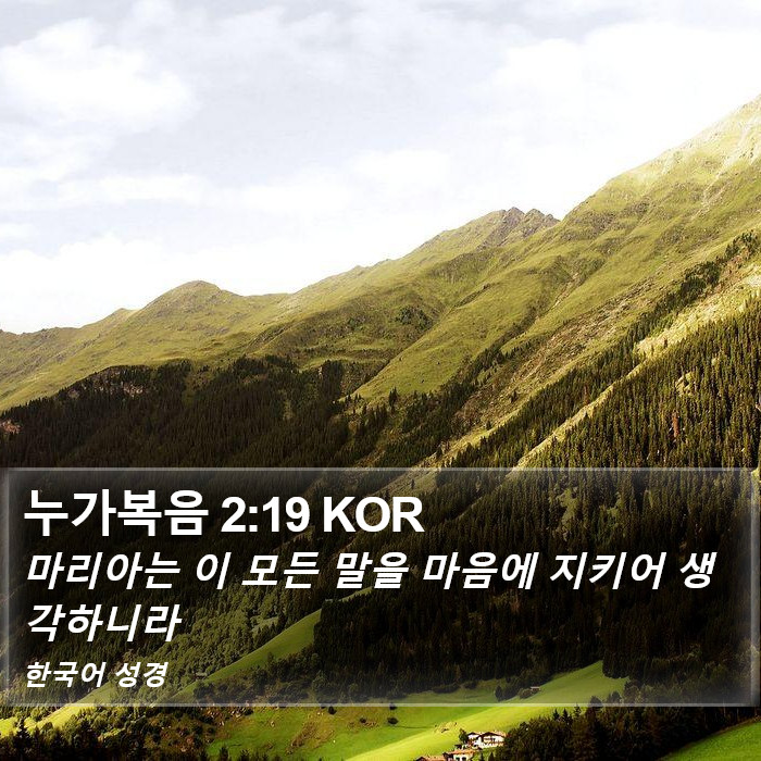 누가복음 2:19 KOR Bible Study