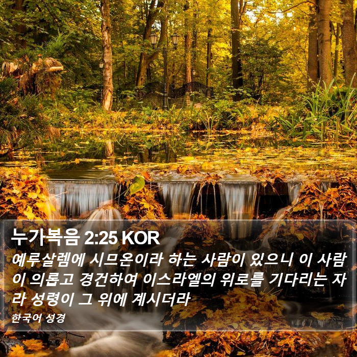 누가복음 2:25 KOR Bible Study