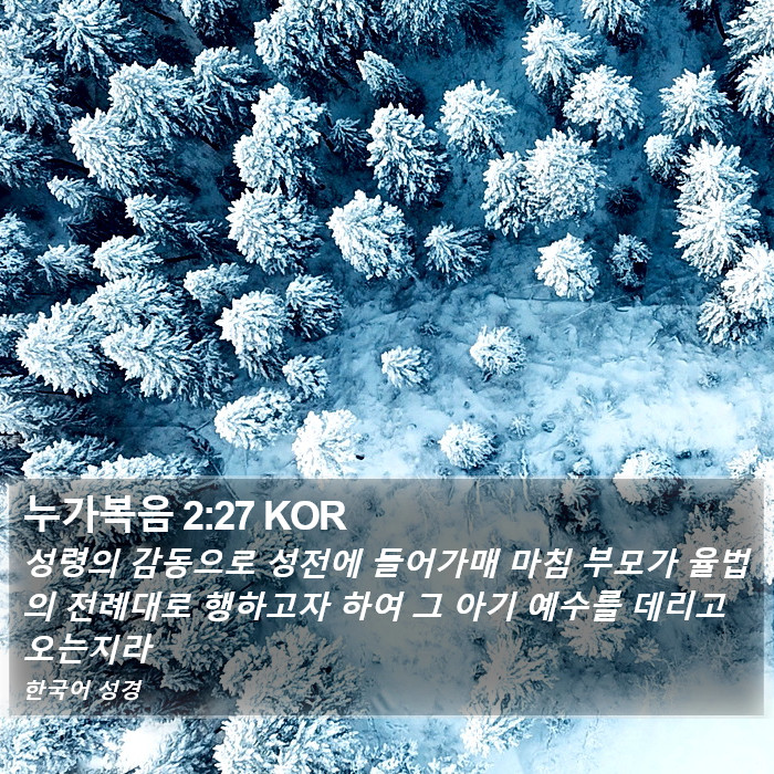 누가복음 2:27 KOR Bible Study