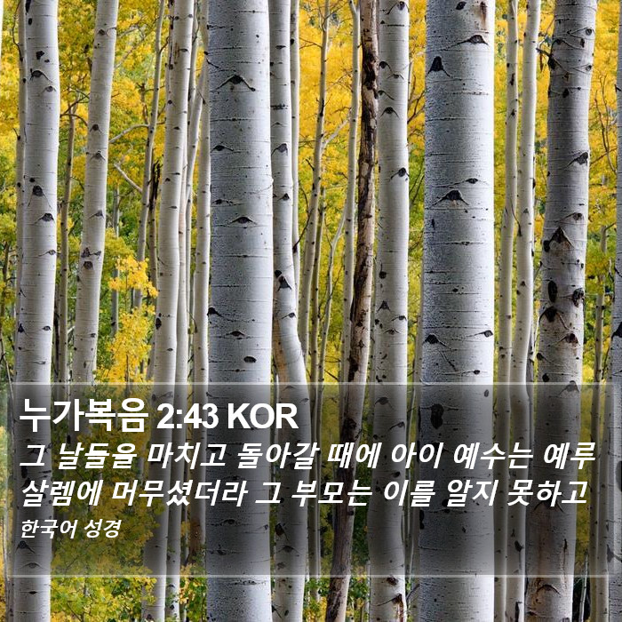 누가복음 2:43 KOR Bible Study