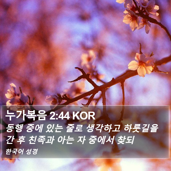 누가복음 2:44 KOR Bible Study