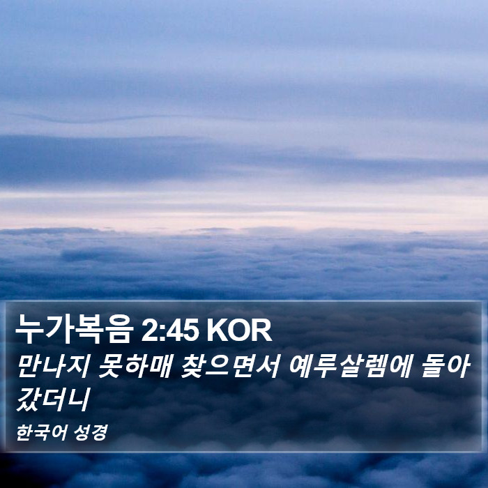 누가복음 2:45 KOR Bible Study