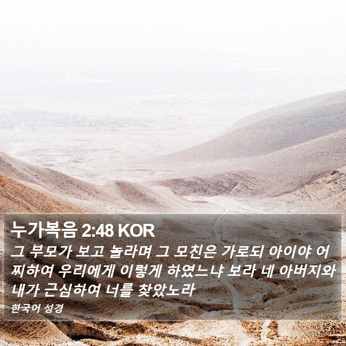 누가복음 2:48 KOR Bible Study