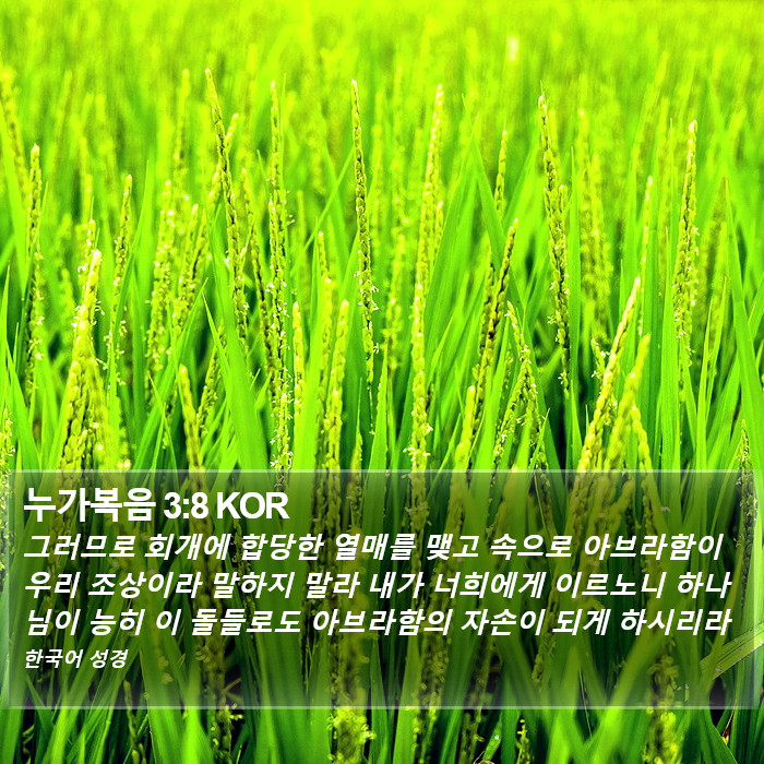 누가복음 3:8 KOR Bible Study