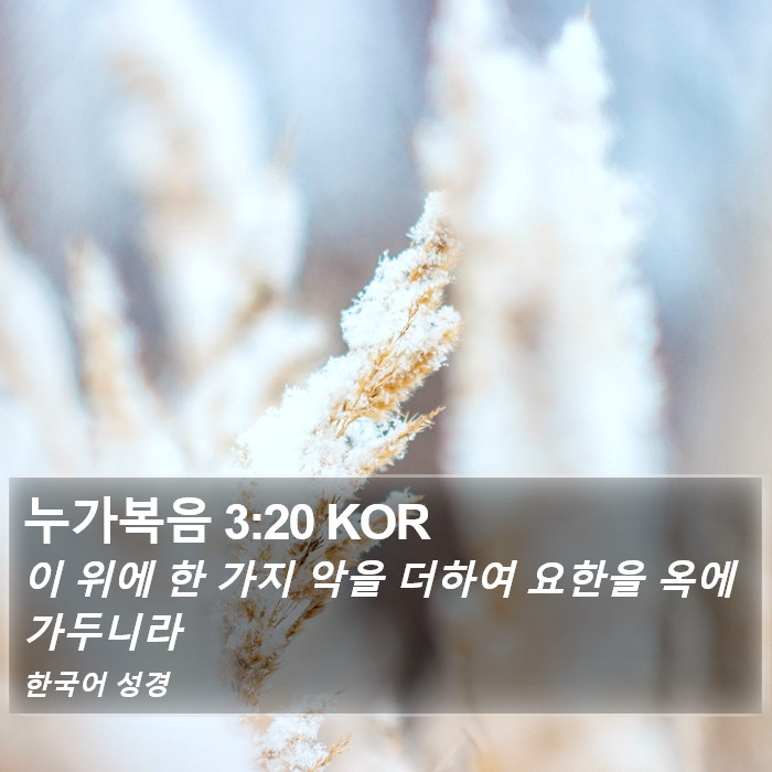 누가복음 3:20 KOR Bible Study