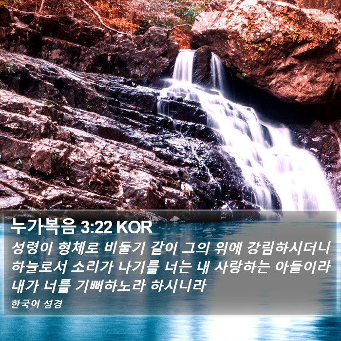 누가복음 3:22 KOR Bible Study