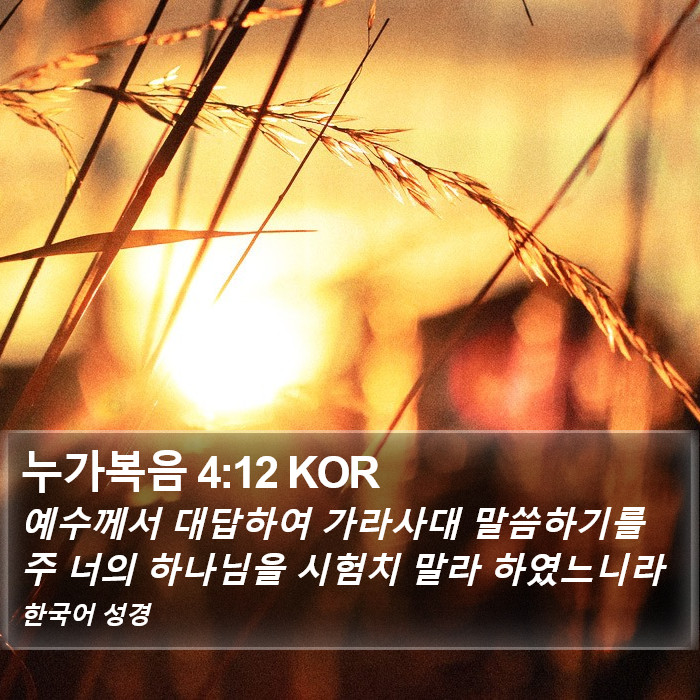 누가복음 4:12 KOR Bible Study