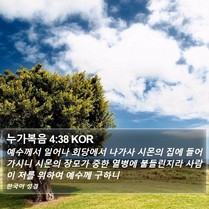 누가복음 4:38 KOR Bible Study