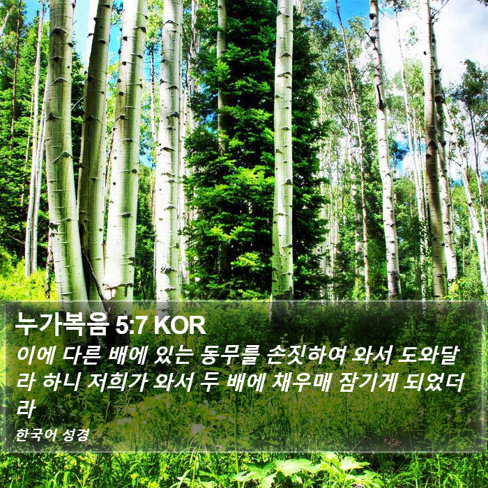 누가복음 5:7 KOR Bible Study