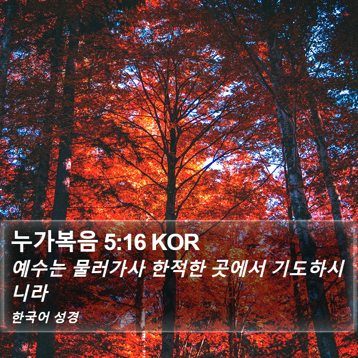 누가복음 5:16 KOR Bible Study