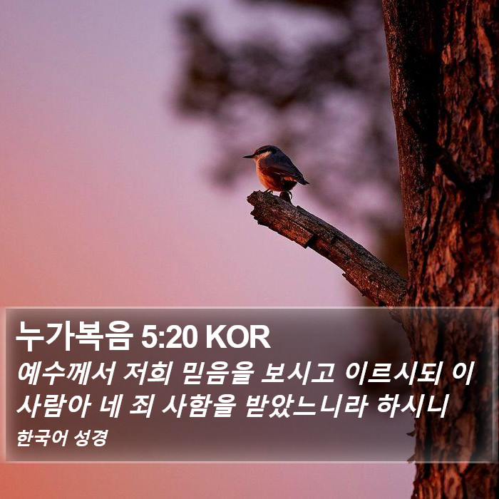 누가복음 5:20 KOR Bible Study