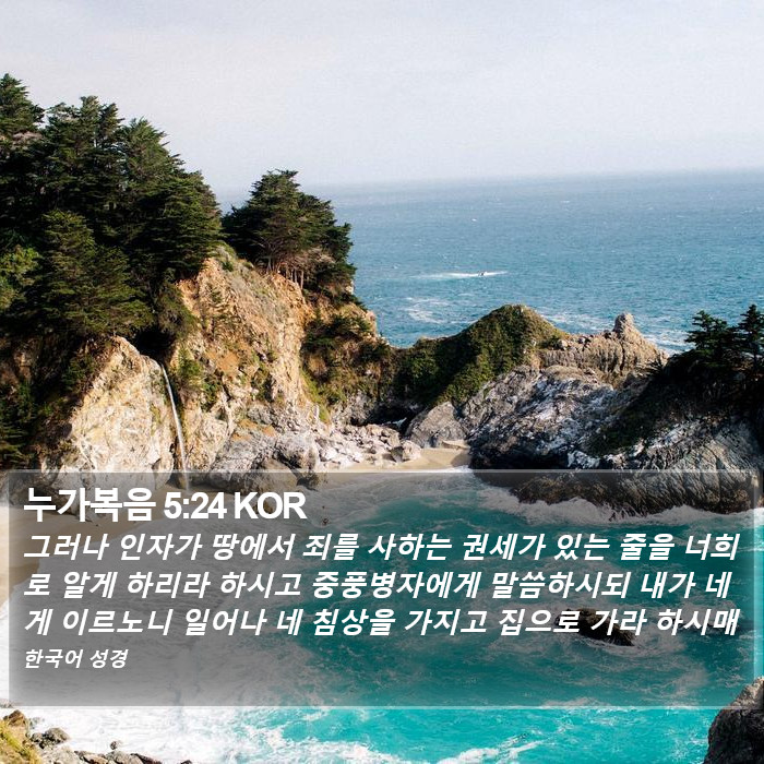 누가복음 5:24 KOR Bible Study