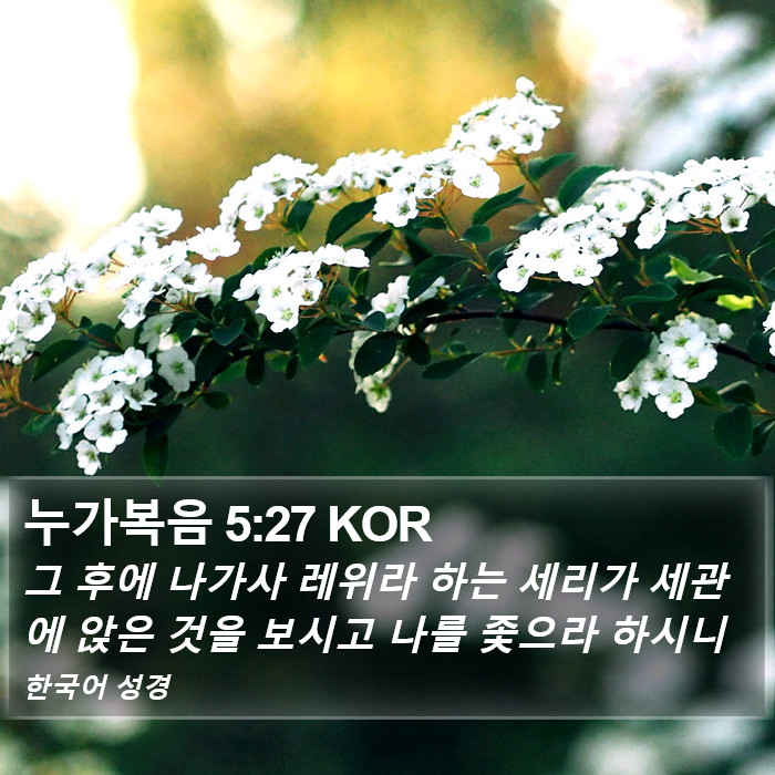 누가복음 5:27 KOR Bible Study