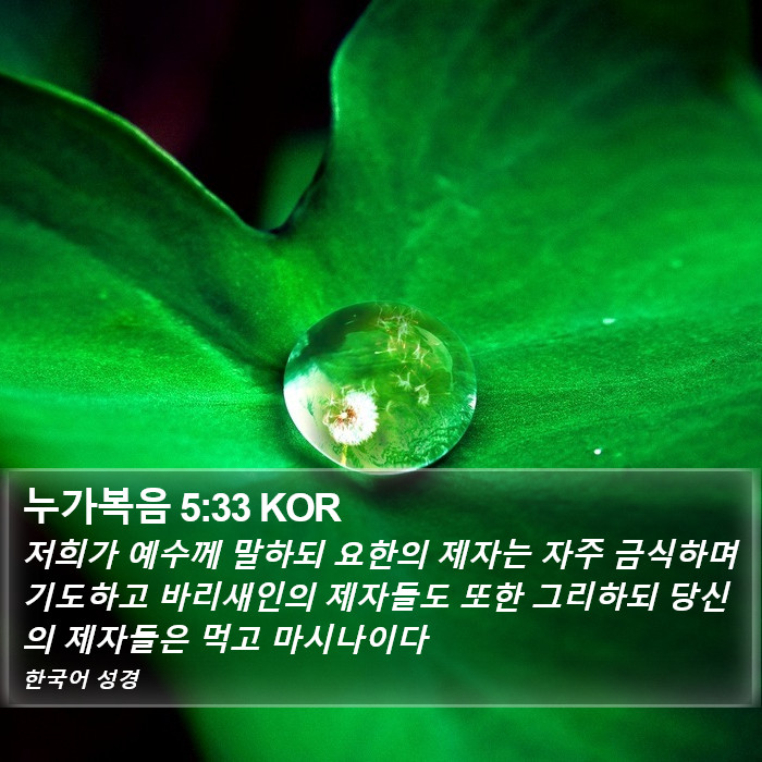 누가복음 5:33 KOR Bible Study