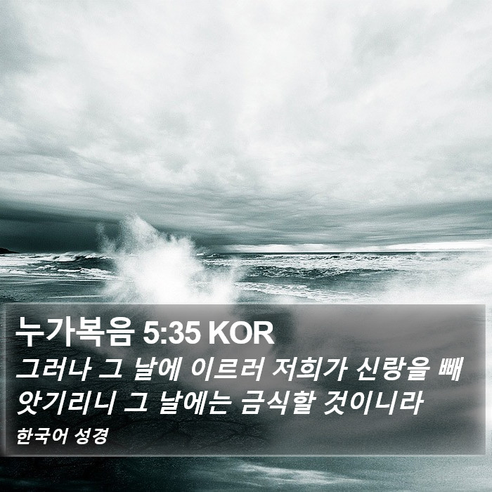 누가복음 5:35 KOR Bible Study