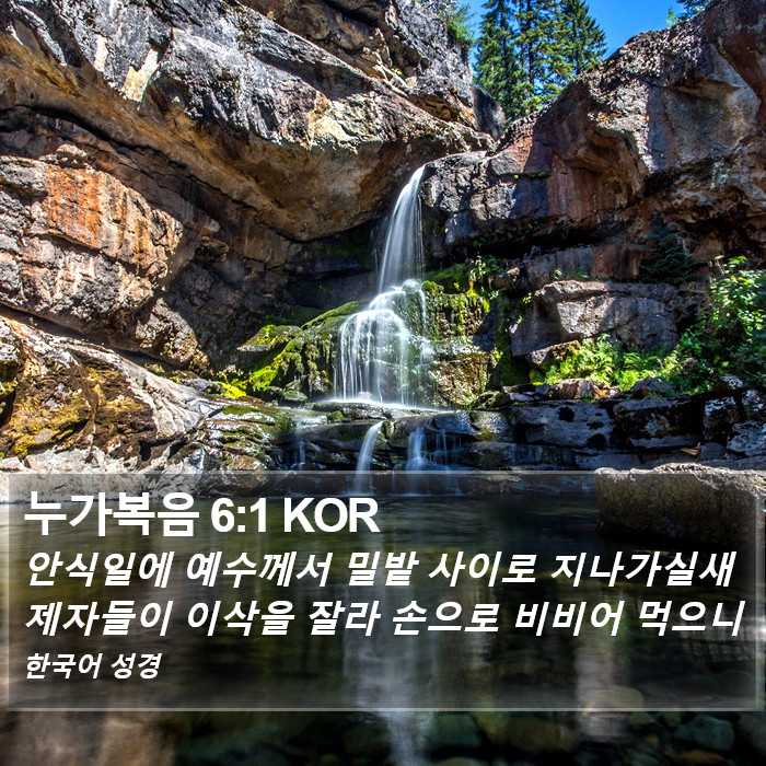 누가복음 6:1 KOR Bible Study