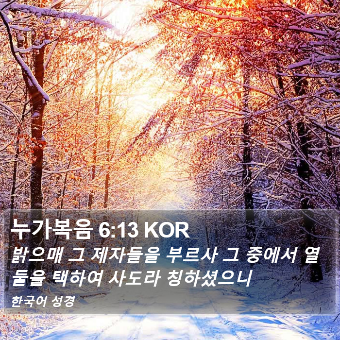 누가복음 6:13 KOR Bible Study