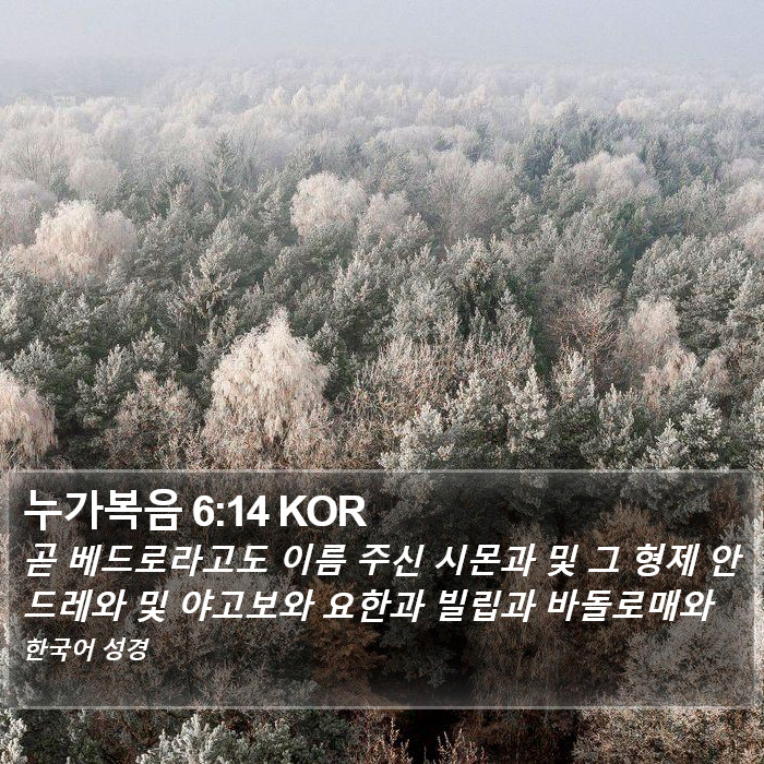 누가복음 6:14 KOR Bible Study