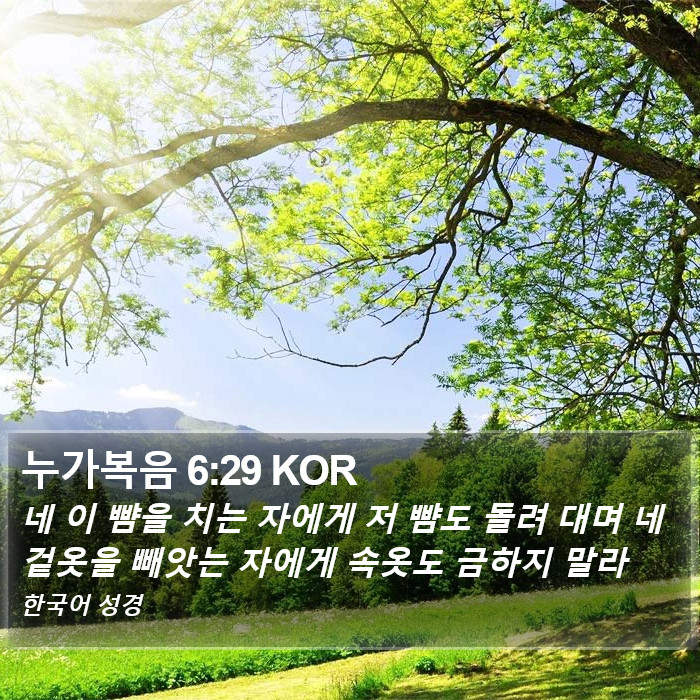 누가복음 6:29 KOR Bible Study