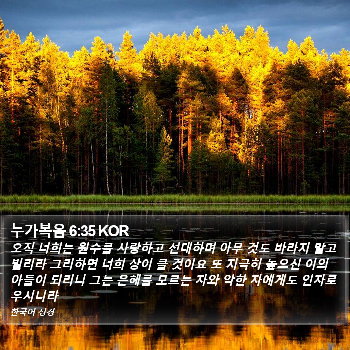 누가복음 6:35 KOR Bible Study