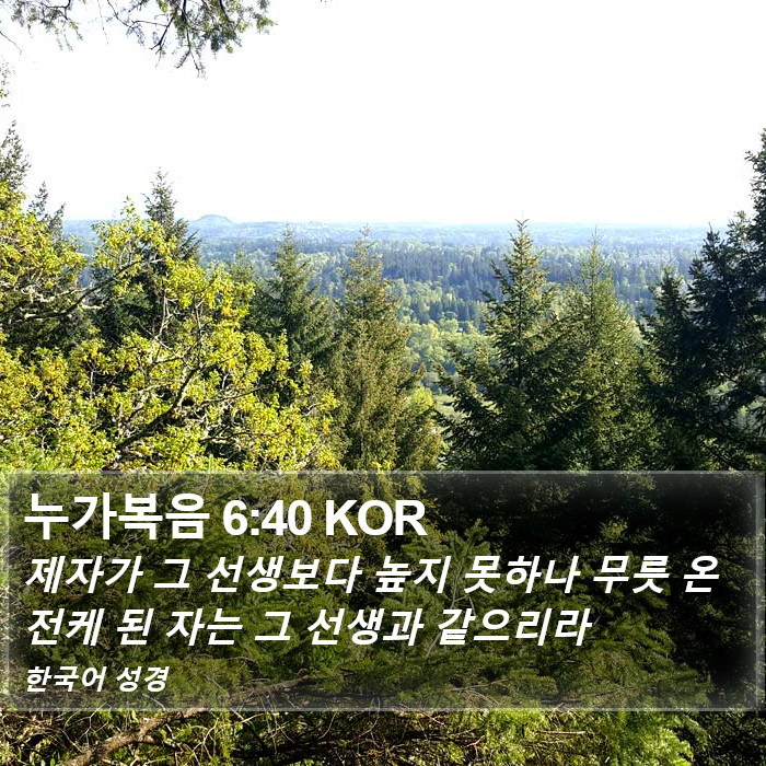 누가복음 6:40 KOR Bible Study