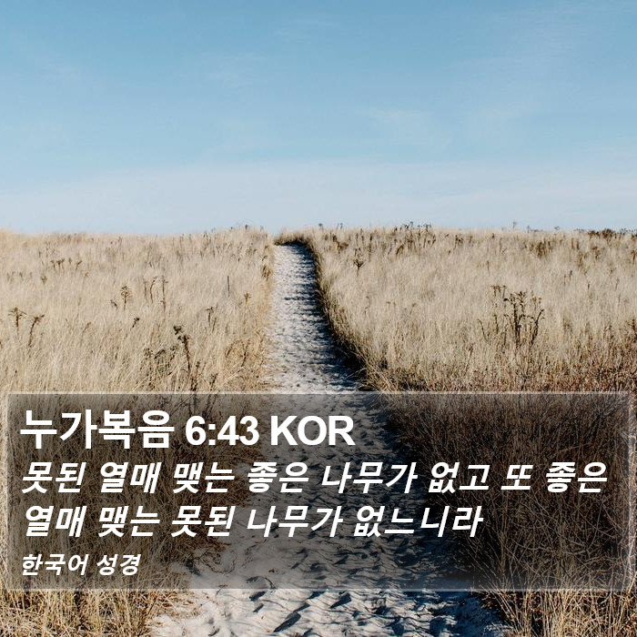 누가복음 6:43 KOR Bible Study