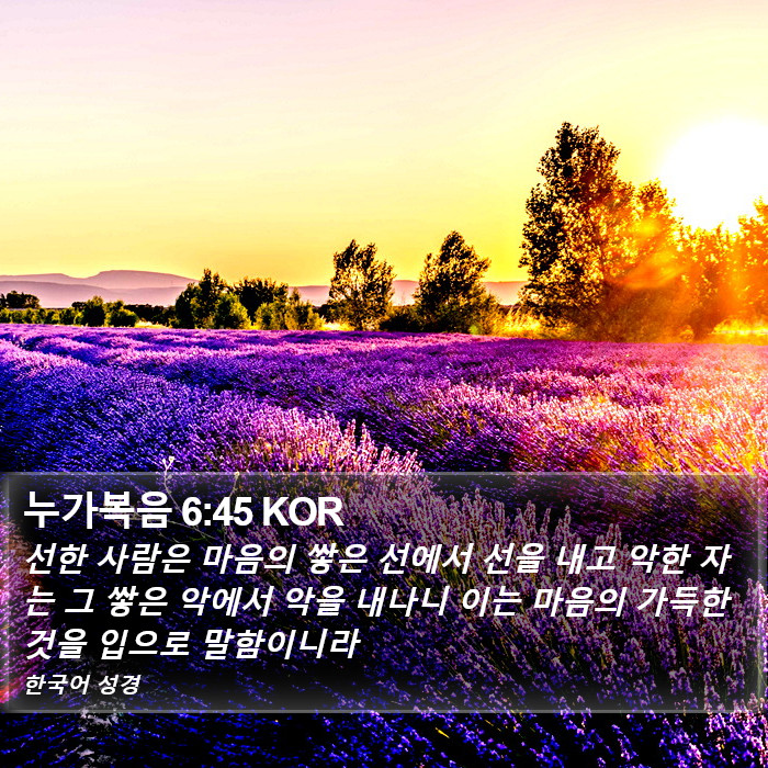 누가복음 6:45 KOR Bible Study