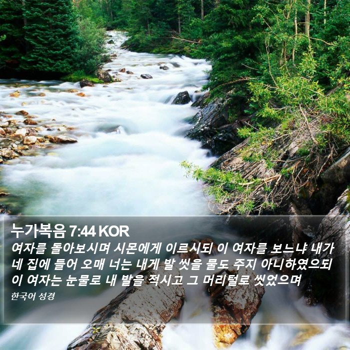 누가복음 7:44 KOR Bible Study