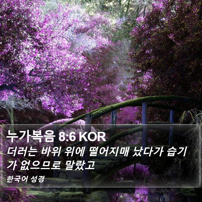 누가복음 8:6 KOR Bible Study