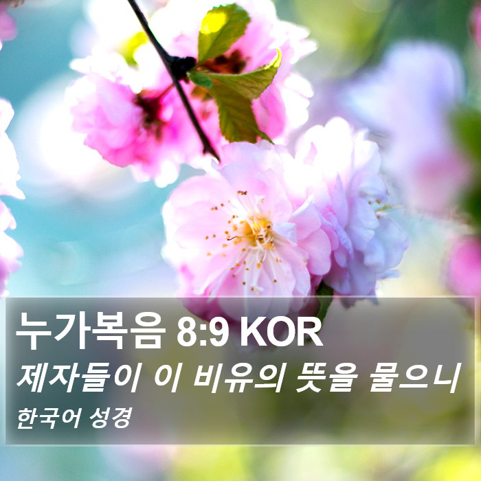 누가복음 8:9 KOR Bible Study