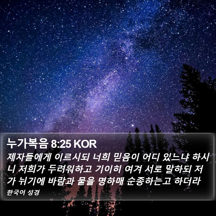 누가복음 8:25 KOR Bible Study