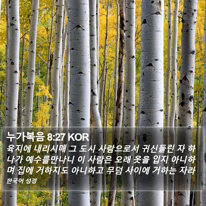 누가복음 8:27 KOR Bible Study