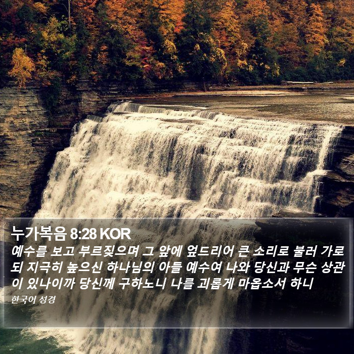 누가복음 8:28 KOR Bible Study