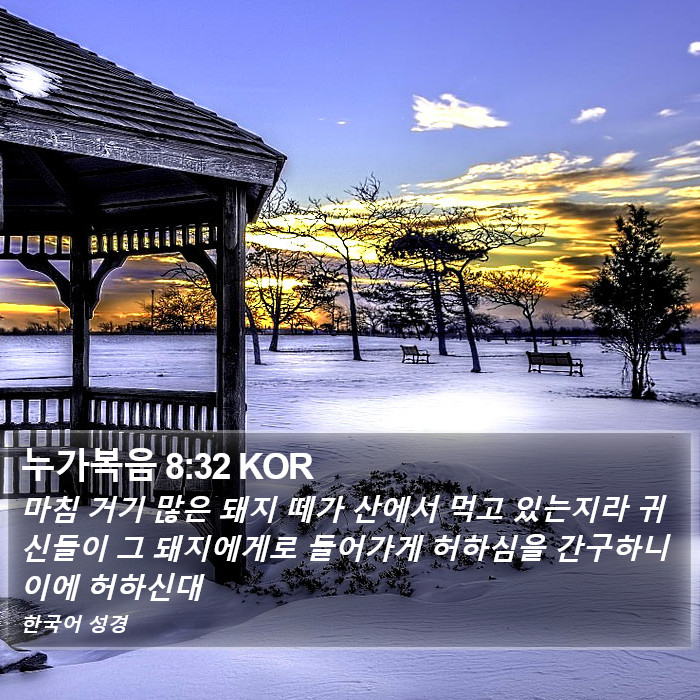 누가복음 8:32 KOR Bible Study