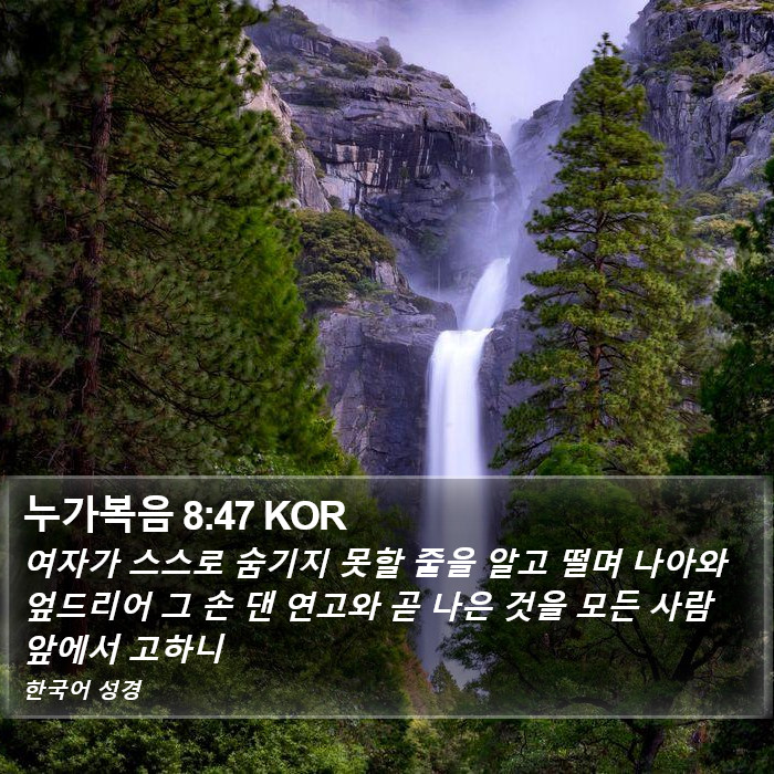 누가복음 8:47 KOR Bible Study