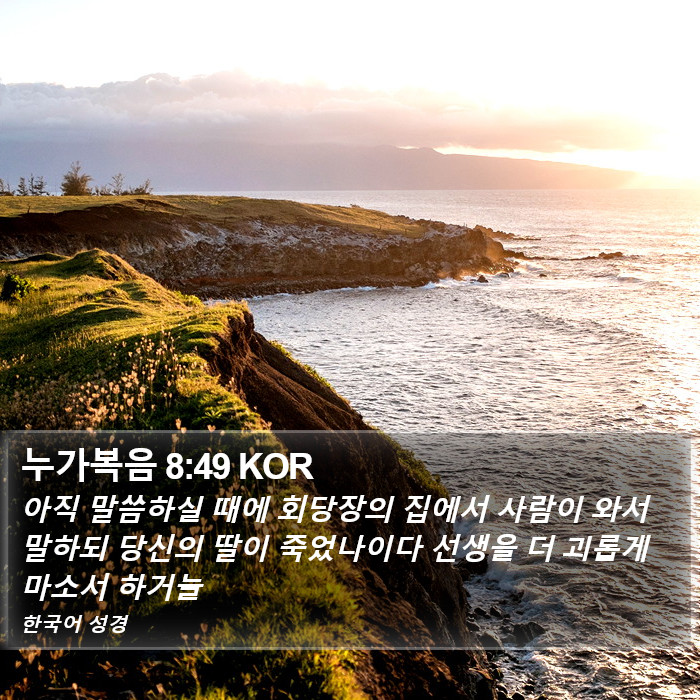 누가복음 8:49 KOR Bible Study