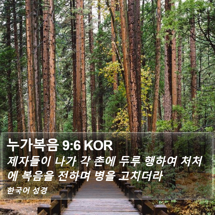 누가복음 9:6 KOR Bible Study